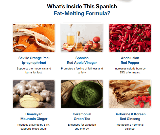 CitrusBurn Ingredients 